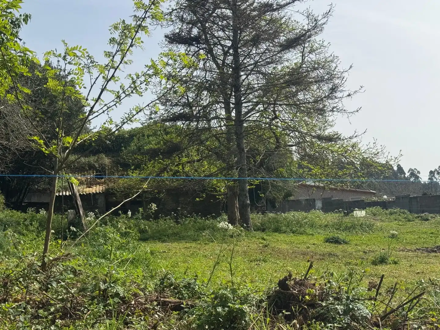 Casa rústica en venda a Lugar Pena 31, imagen 16
