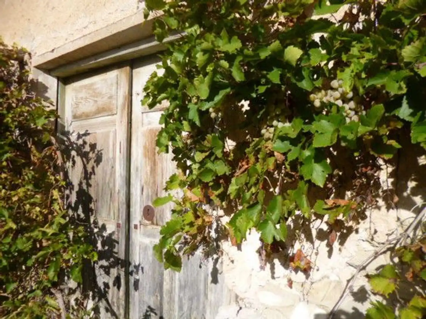 Immobili singolari in vendita a Moratalla, imagen 42