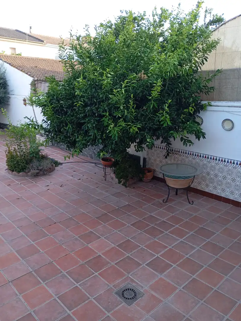 Reihenhaus mit Terrasse zum Verkauf in Fuente Vaqueros, imagen 13