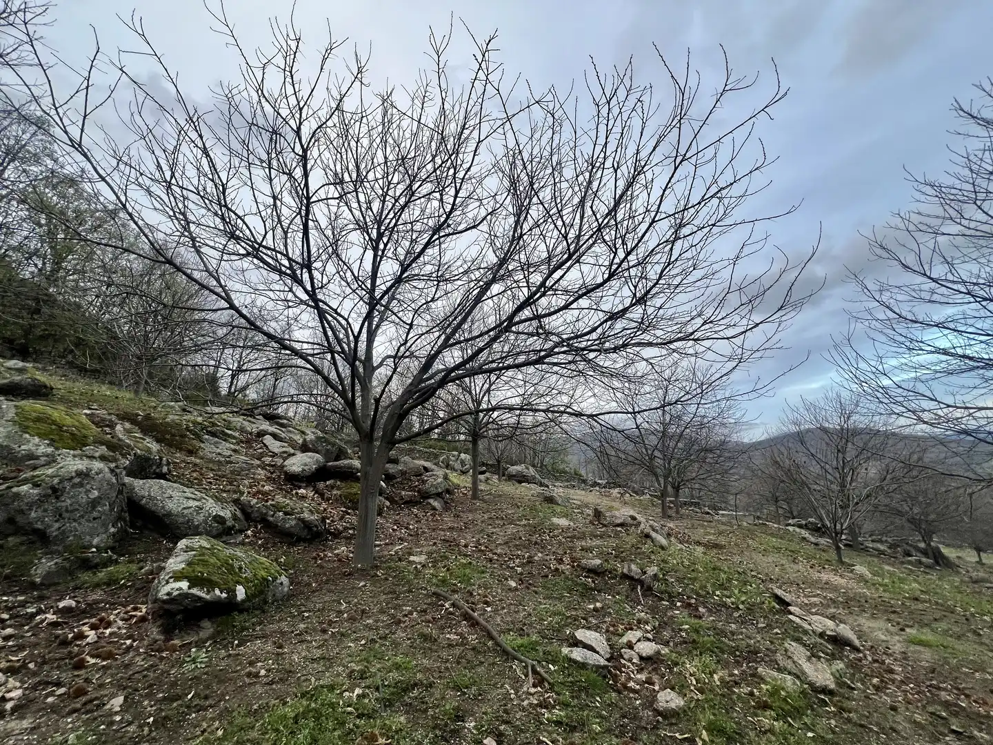 Grundstücke zum Verkauf in Garganta la Olla
