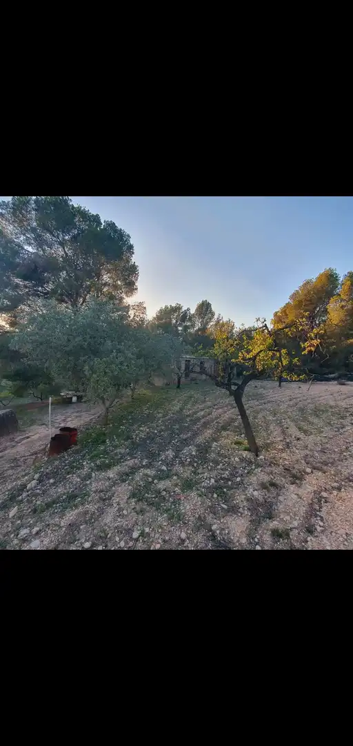 Casa en venta en Móra d'Ebre, imagen 6