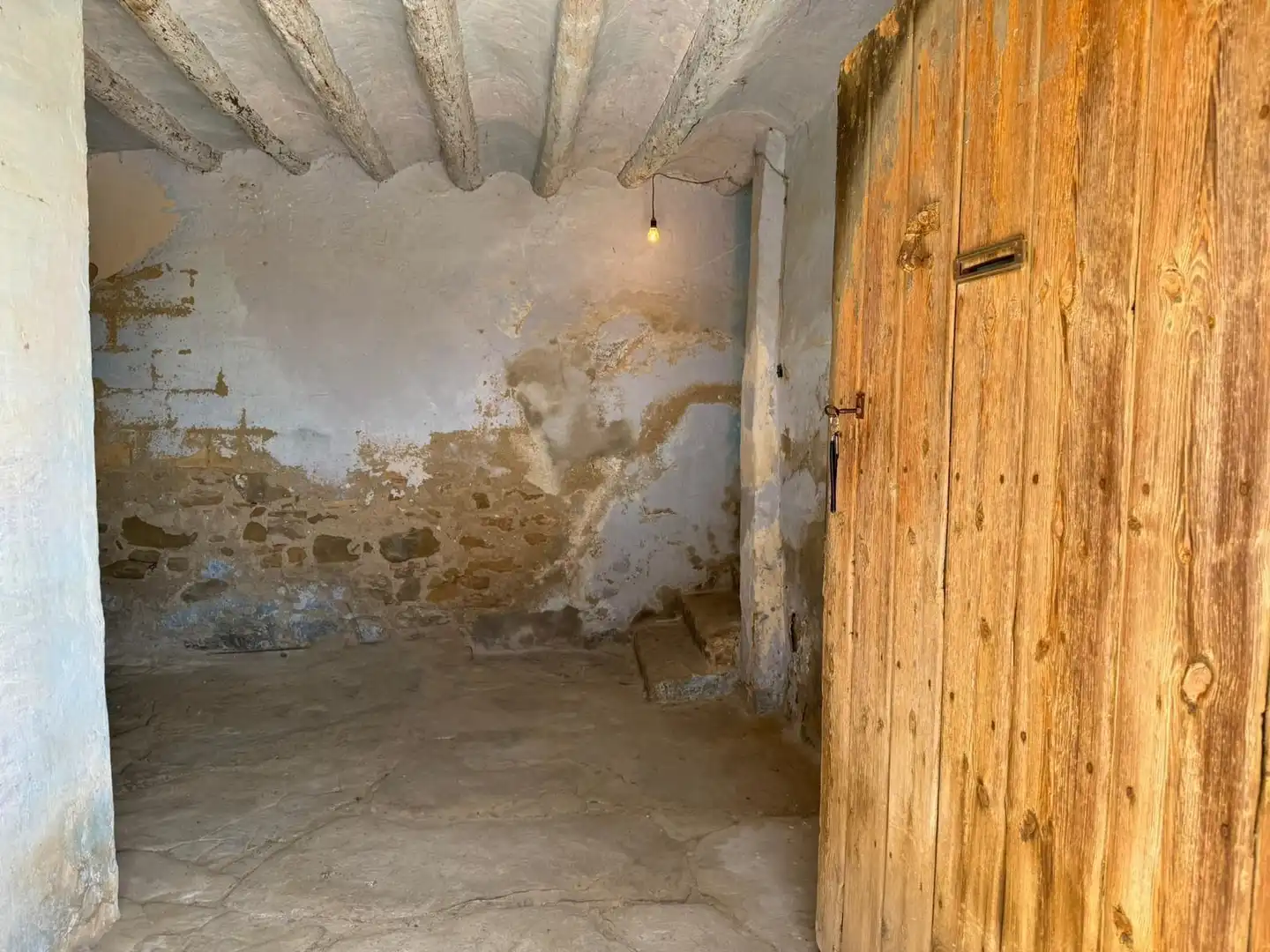 Country homes for sale in Salas Altas