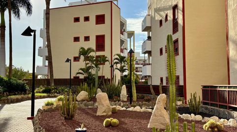 Foto 3 de Piso en venta en Palm - Mar, Arona