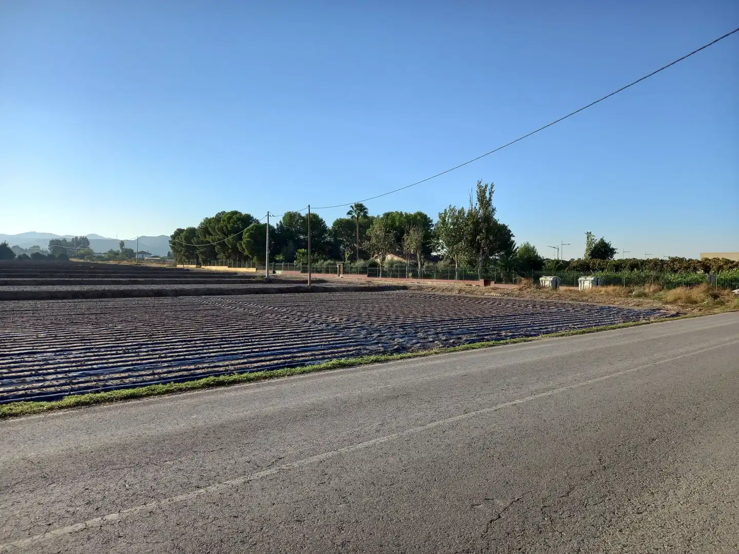 Lands and plots for sale in Pedanías Sur