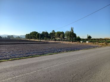 Terreni e lotti in vendita a Pedanías Sur