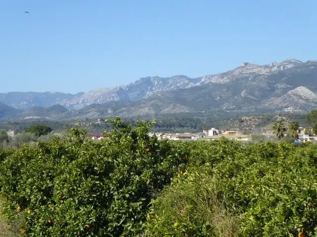Villa con terrazza in vendita a Xerta, imagen 45