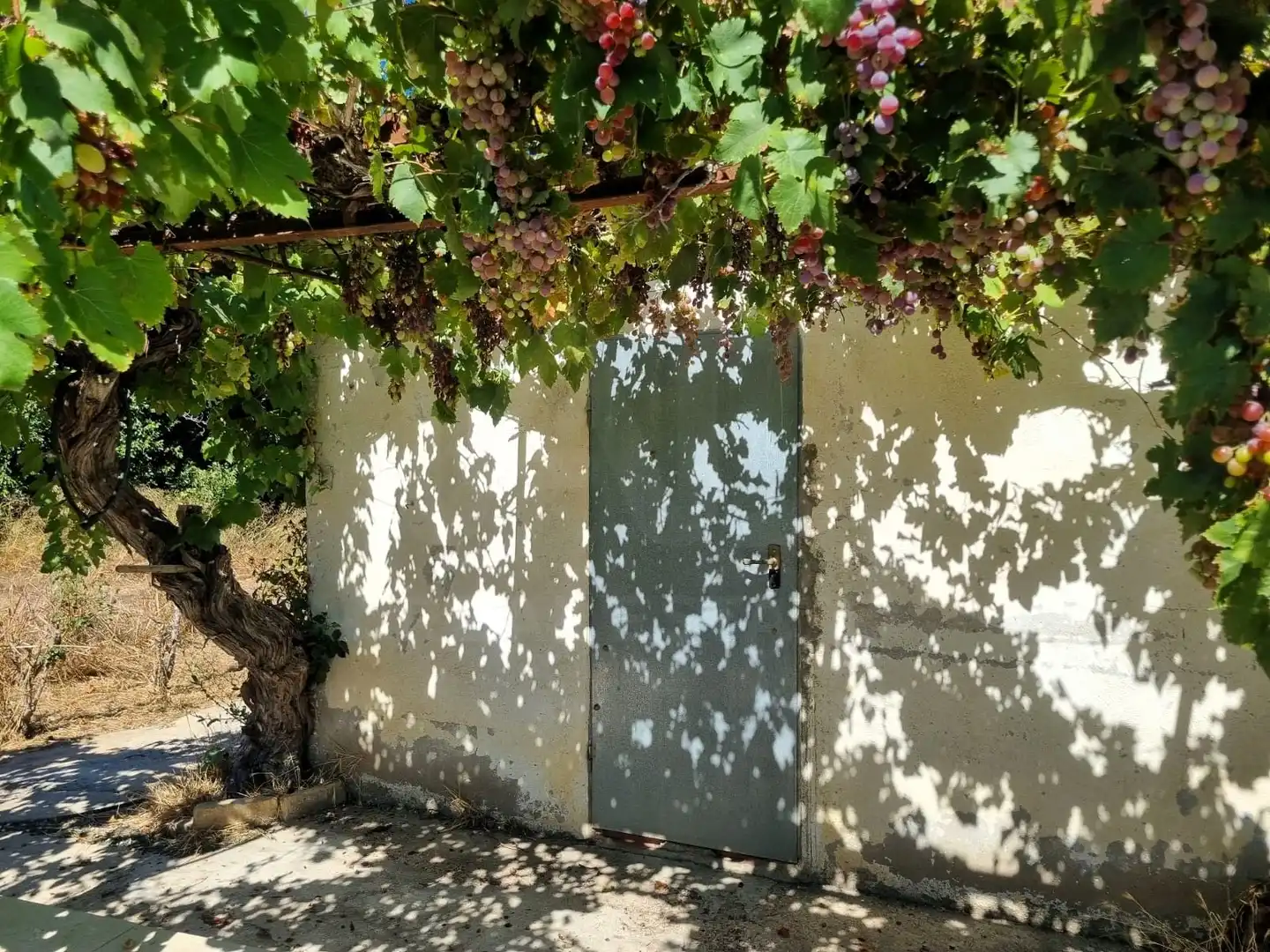 Lands and plots for sale in poligono 17 parcela 32, imagen 2