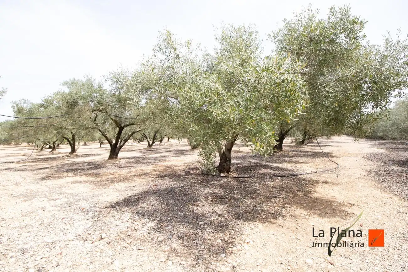 Terrenys i solars en venda a Santa Bàrbara, imagen 4