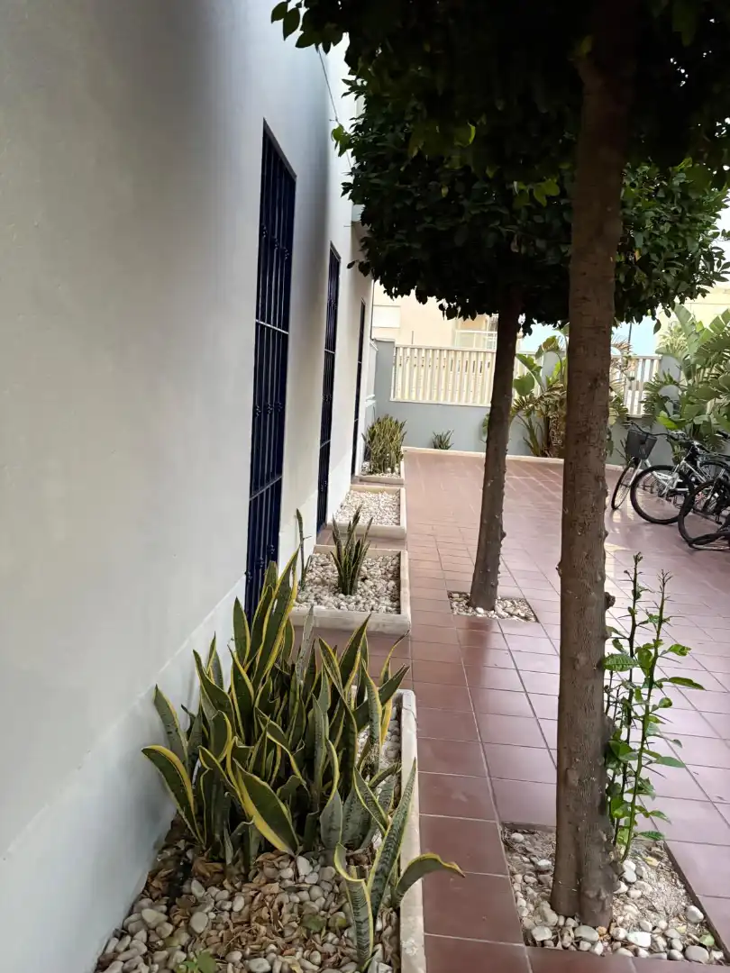 Ground floor with pool to rent in Carrer Garbí 26, imagen 16