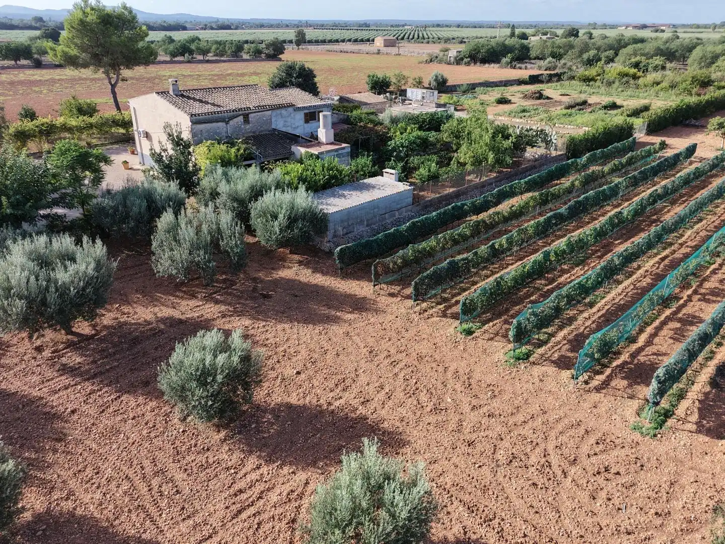 Country homes for sale in Felanitx Poble