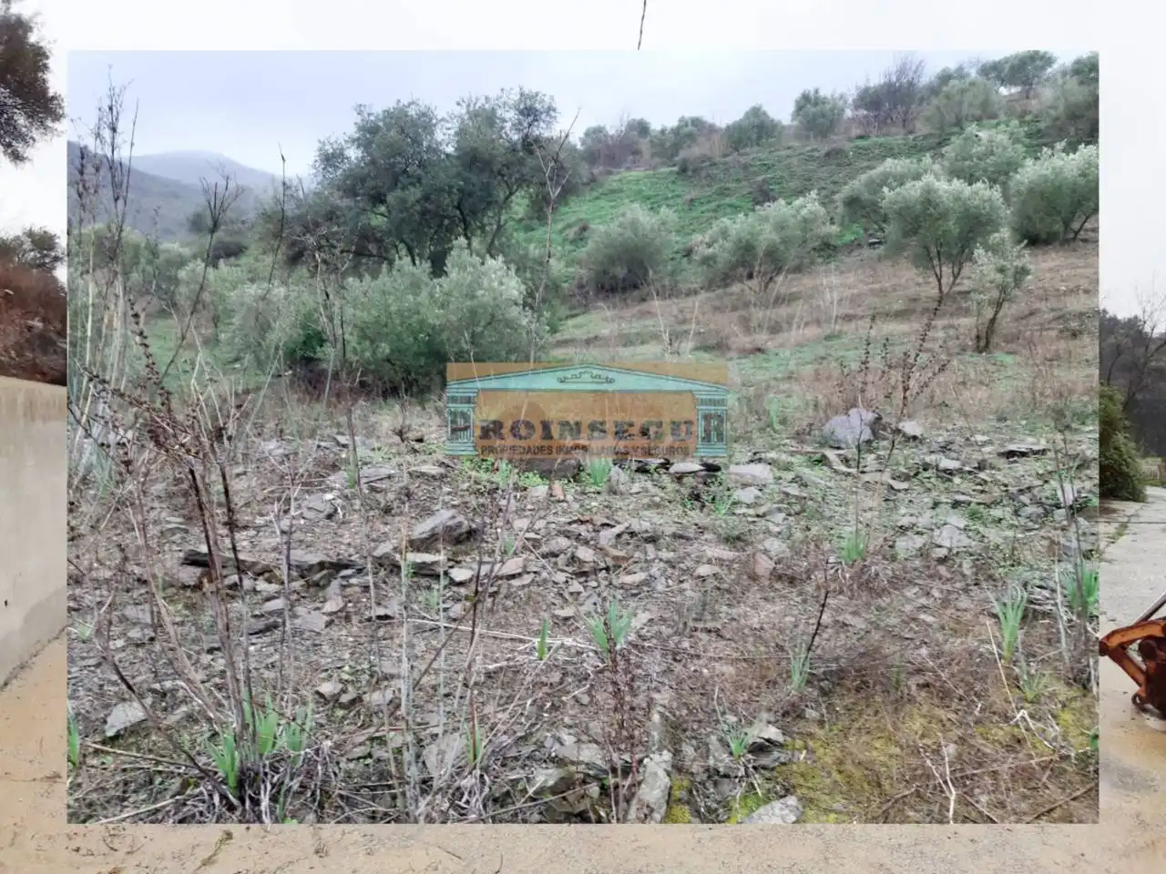 Terreno rustico in vendita a Avenida andalucia, imagen 7