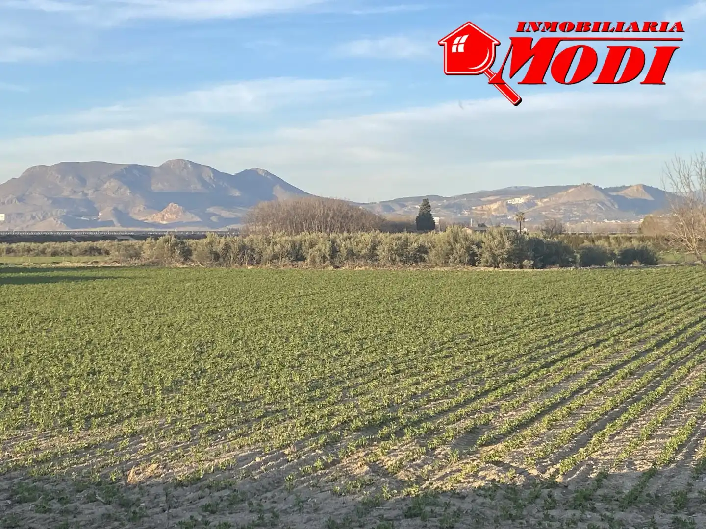Terrenys i solars en venda a Belicena, imagen 6