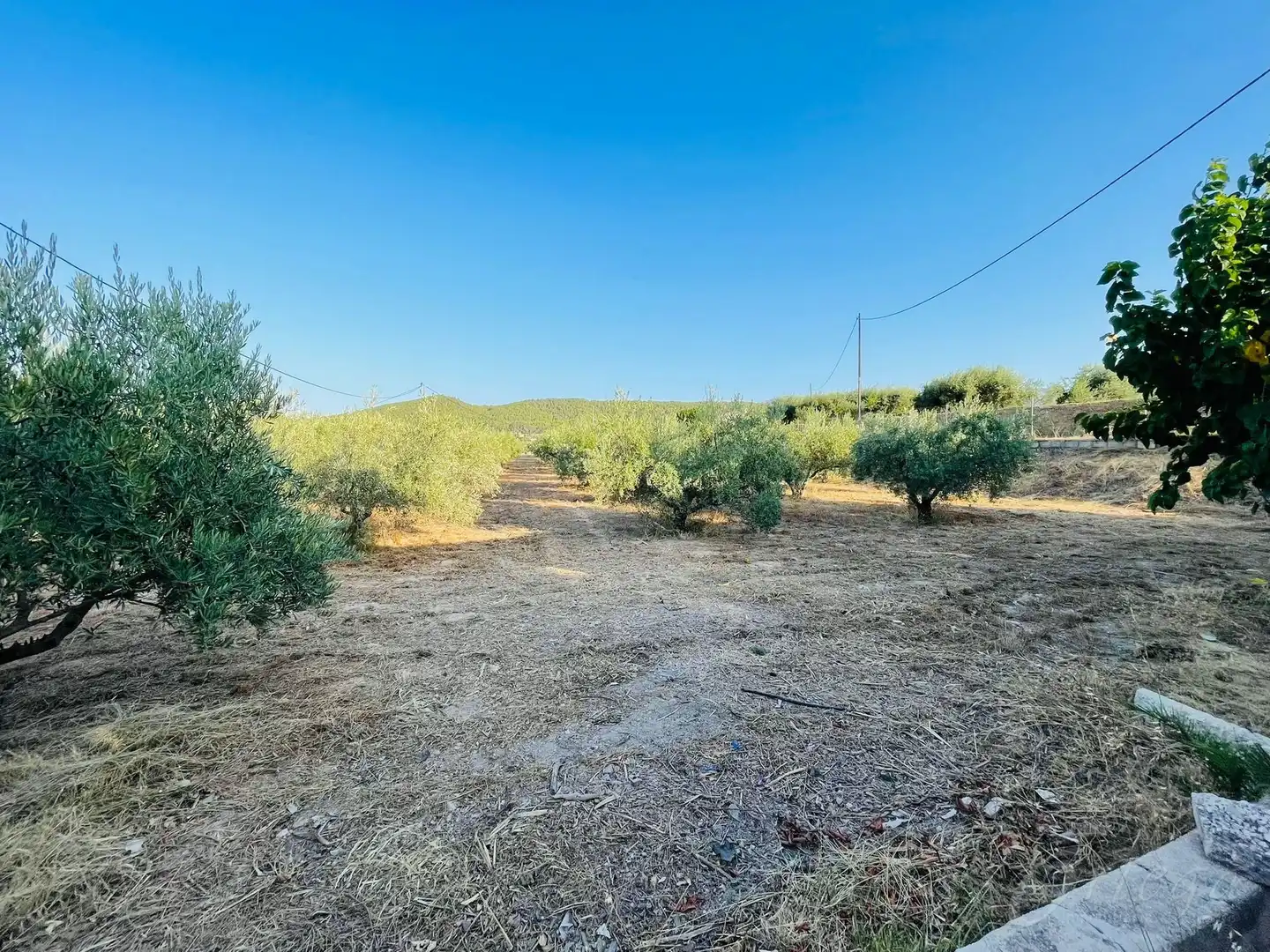 Chalet con terraza en venta en Cehegín, imagen 21