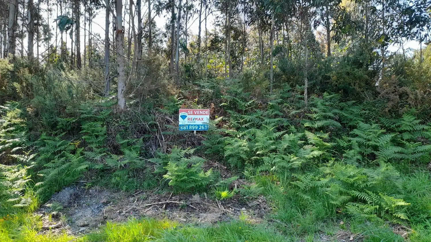 Rural land for sale in Lugar Val Arriba 3, imagen 17