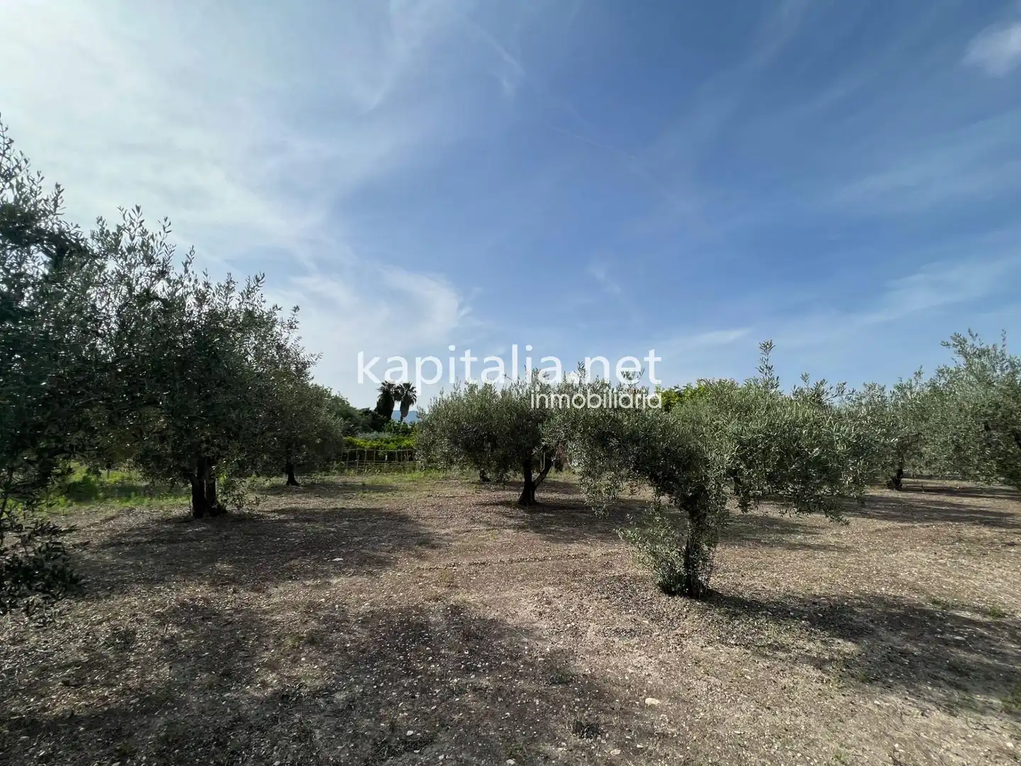 Villa avec jardin à vendre à El Llombo, imagen 7