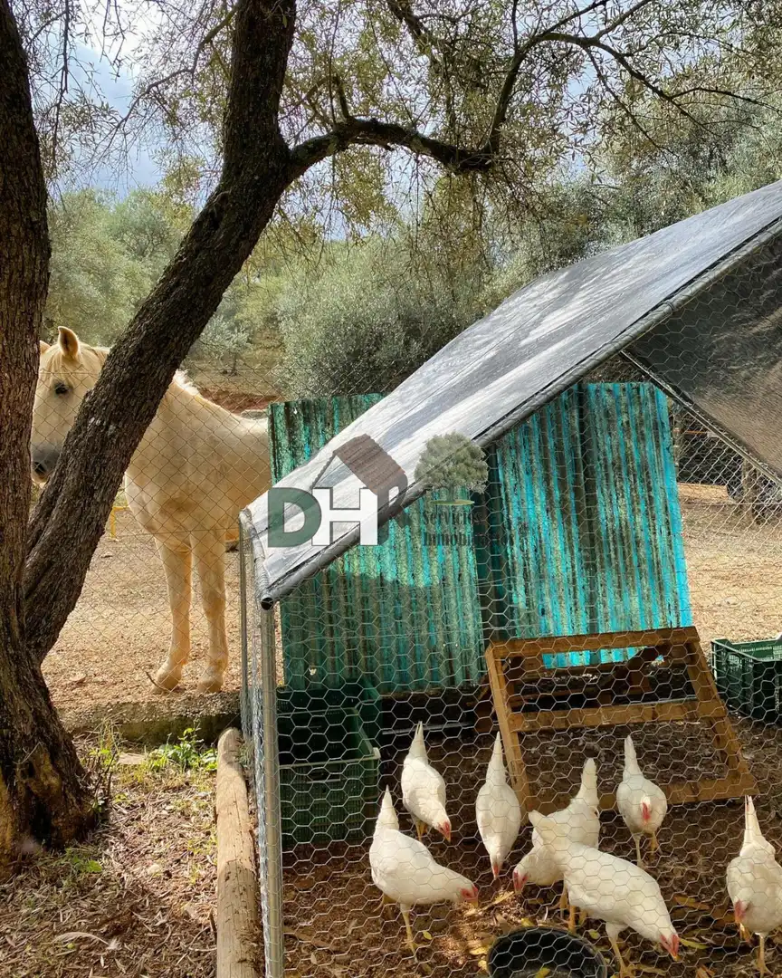 Xalet amb piscina en venda a Rinconada, imagen 40