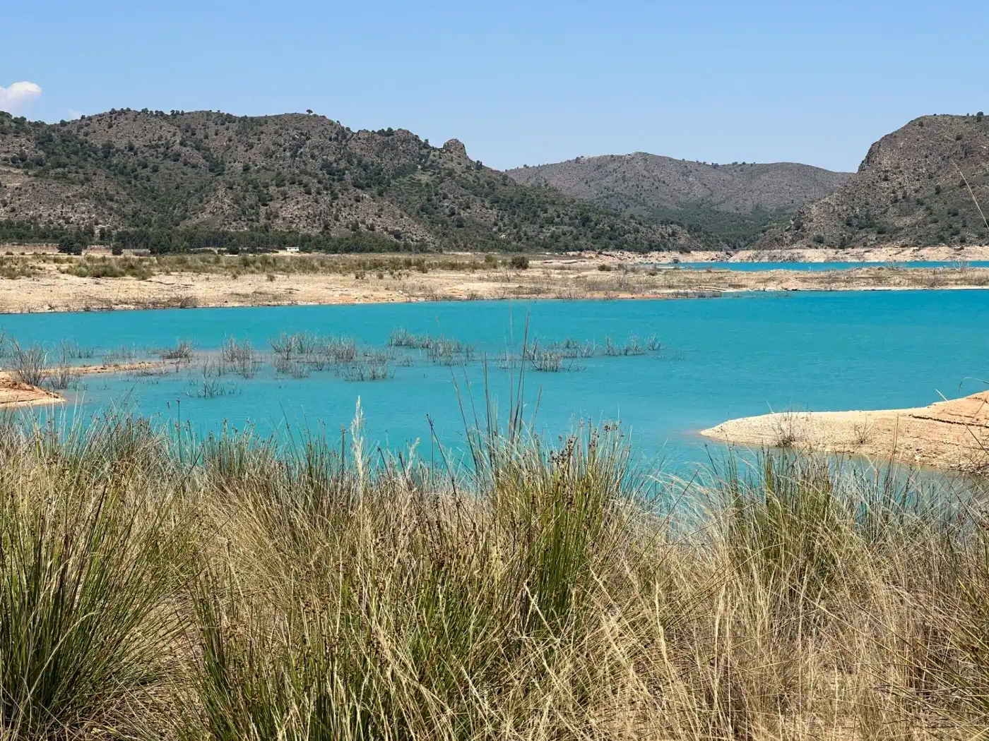 Terreno en venta en Férez