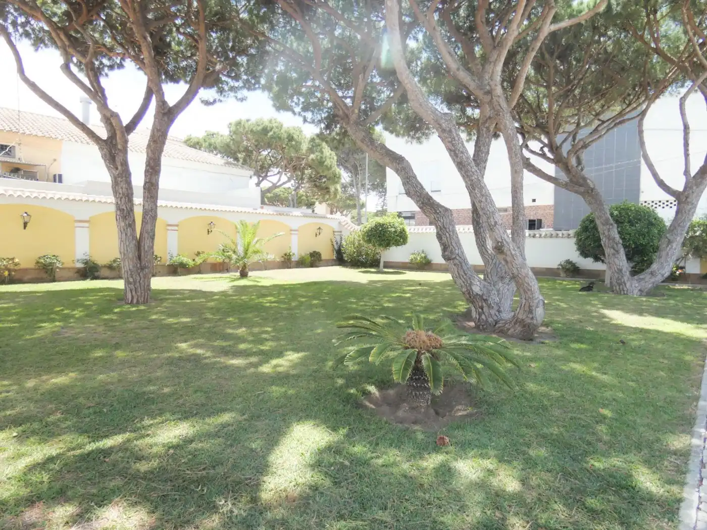 Garden of Houses for sale in Chiclana de la Frontera  with Air Conditioner, Private garden and Terrace