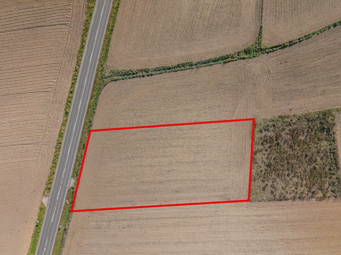 Land for sale in Petra