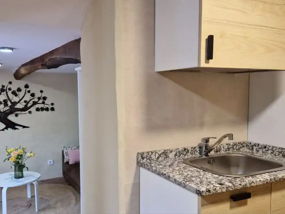 Küche von Loft zur Miete in Salas