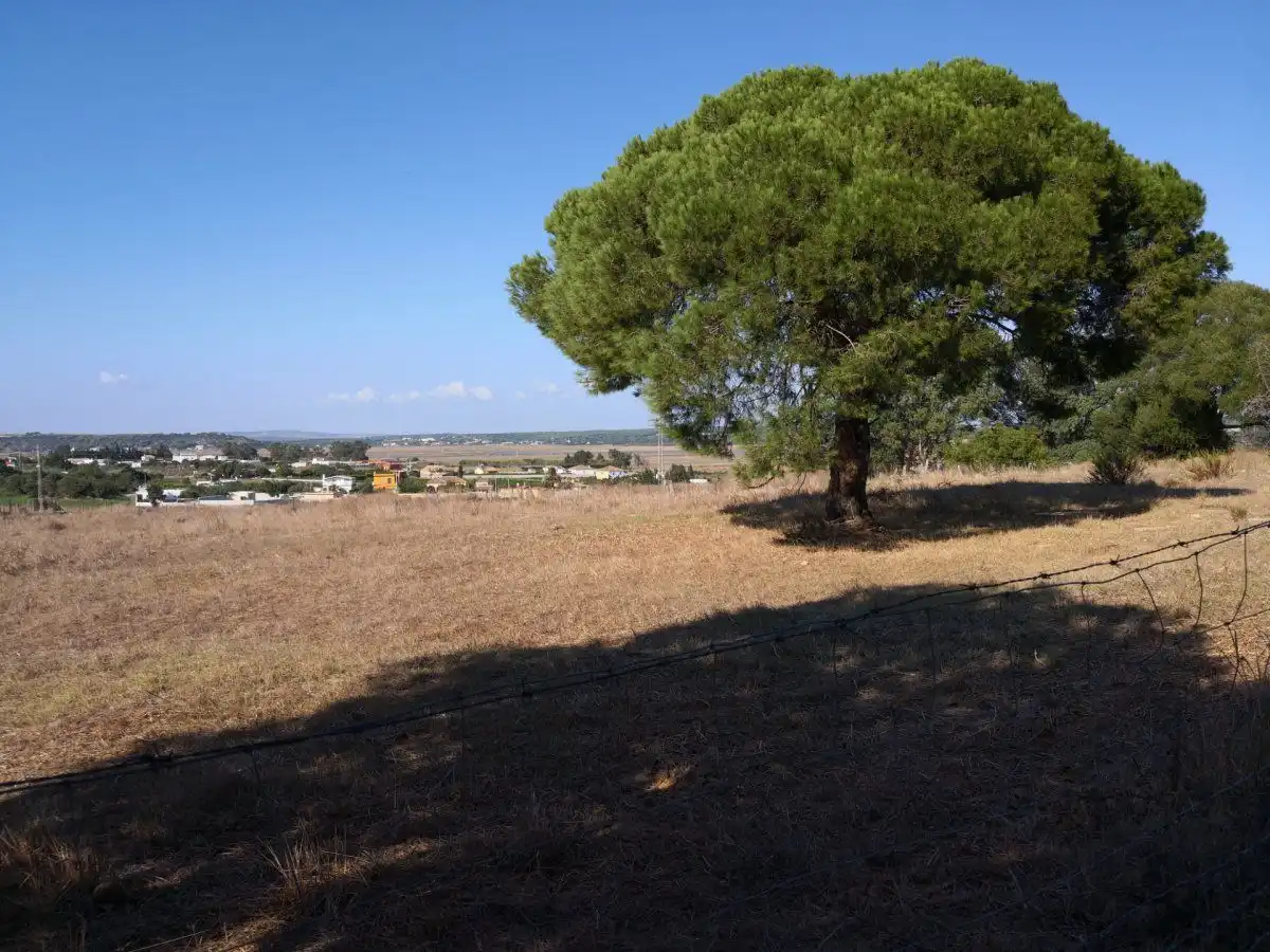 Terreno rustico in vendita a Barbate ciudad, imagen 4