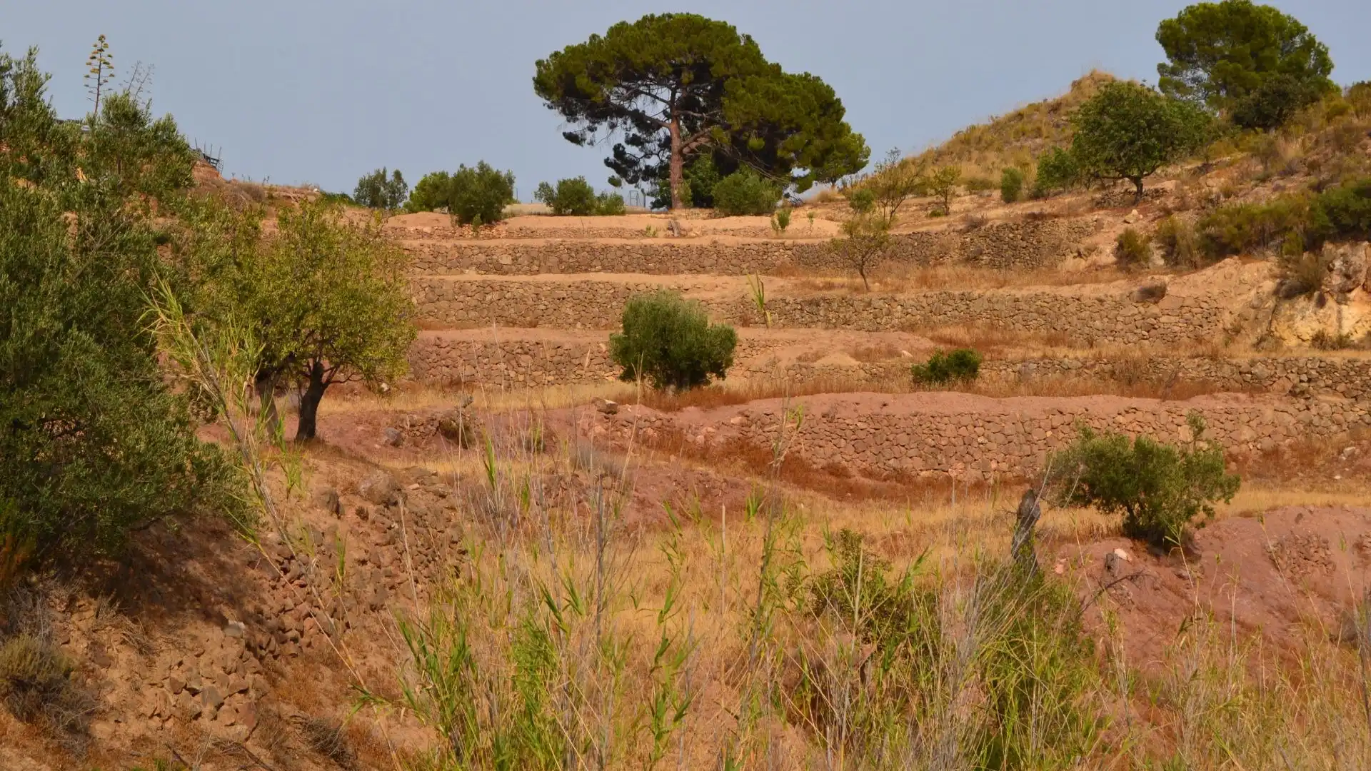 Country homes for rent to own in Lorca  with Private garden