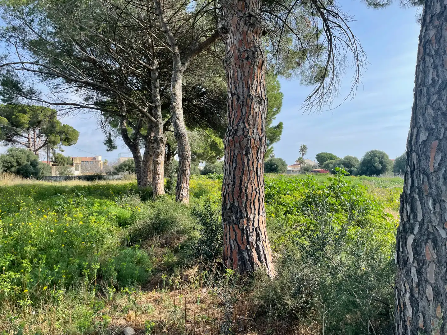 Residential zum Verkauf in Cambrils