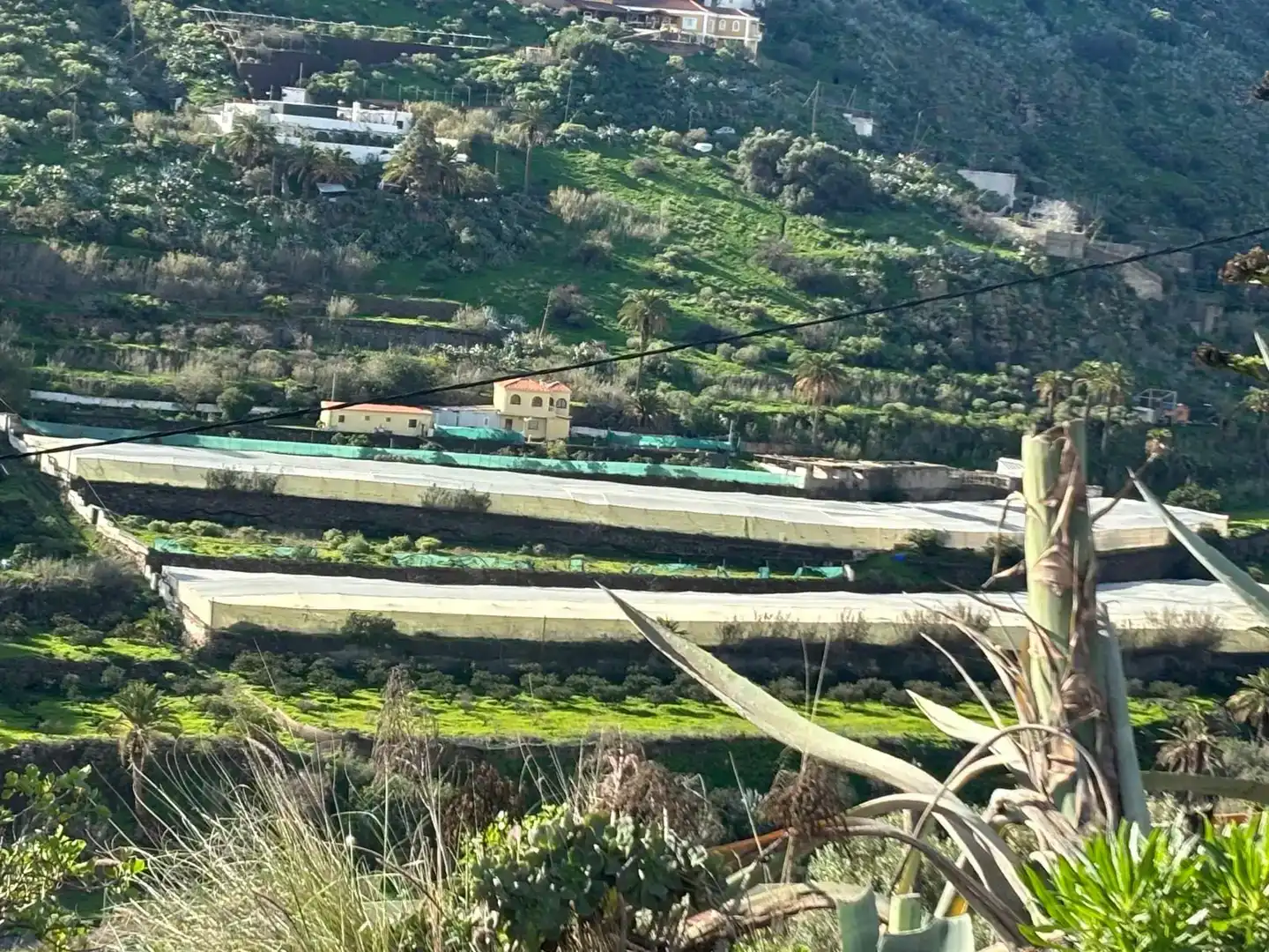Vista exterior de Finca rústica en venta en Telde con Jardín privado, Trastero y Amueblado