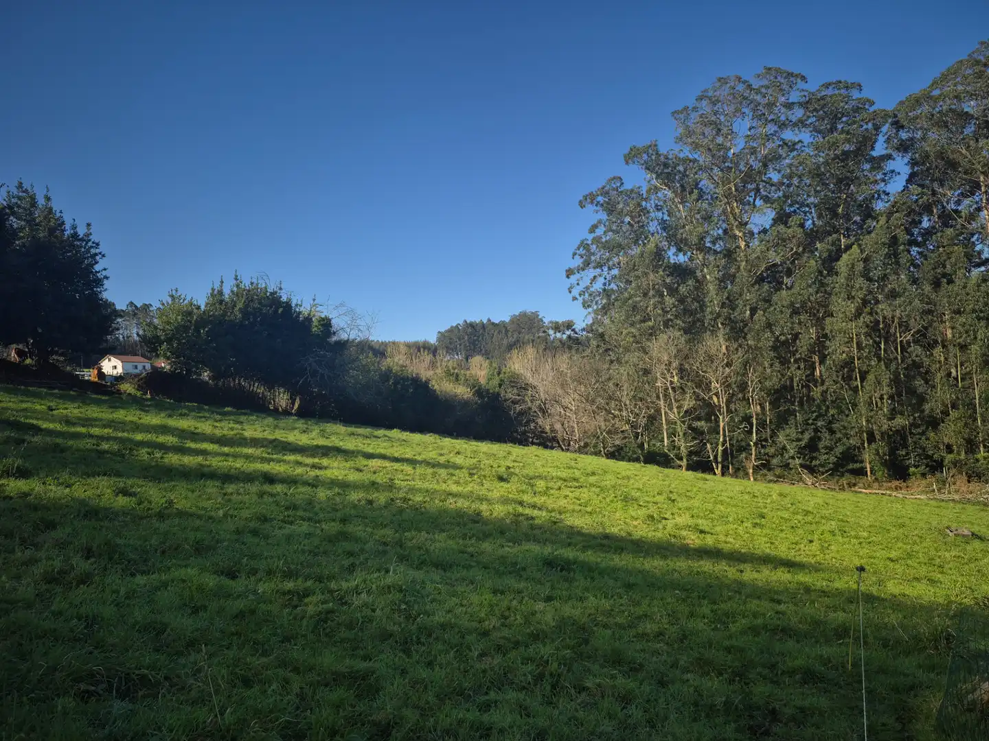 Chalet con jardín en venta en Lugar Vilar 1, imagen 44