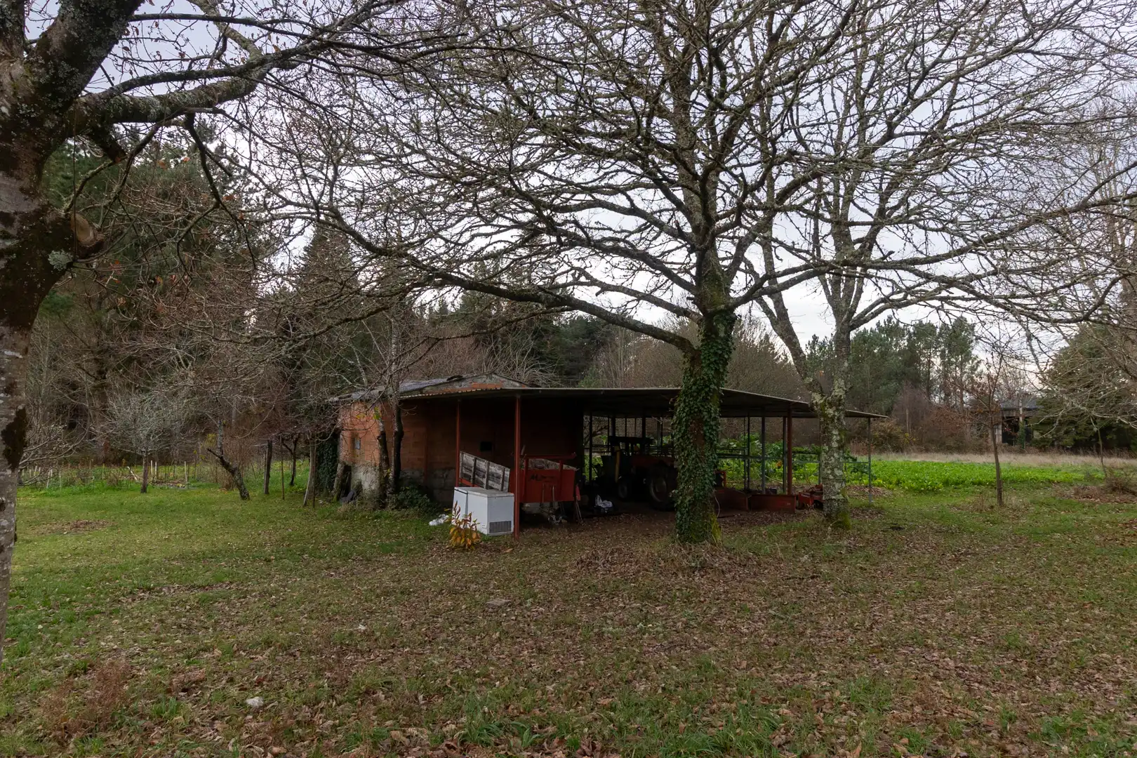 Houses for sale in Guitiriz