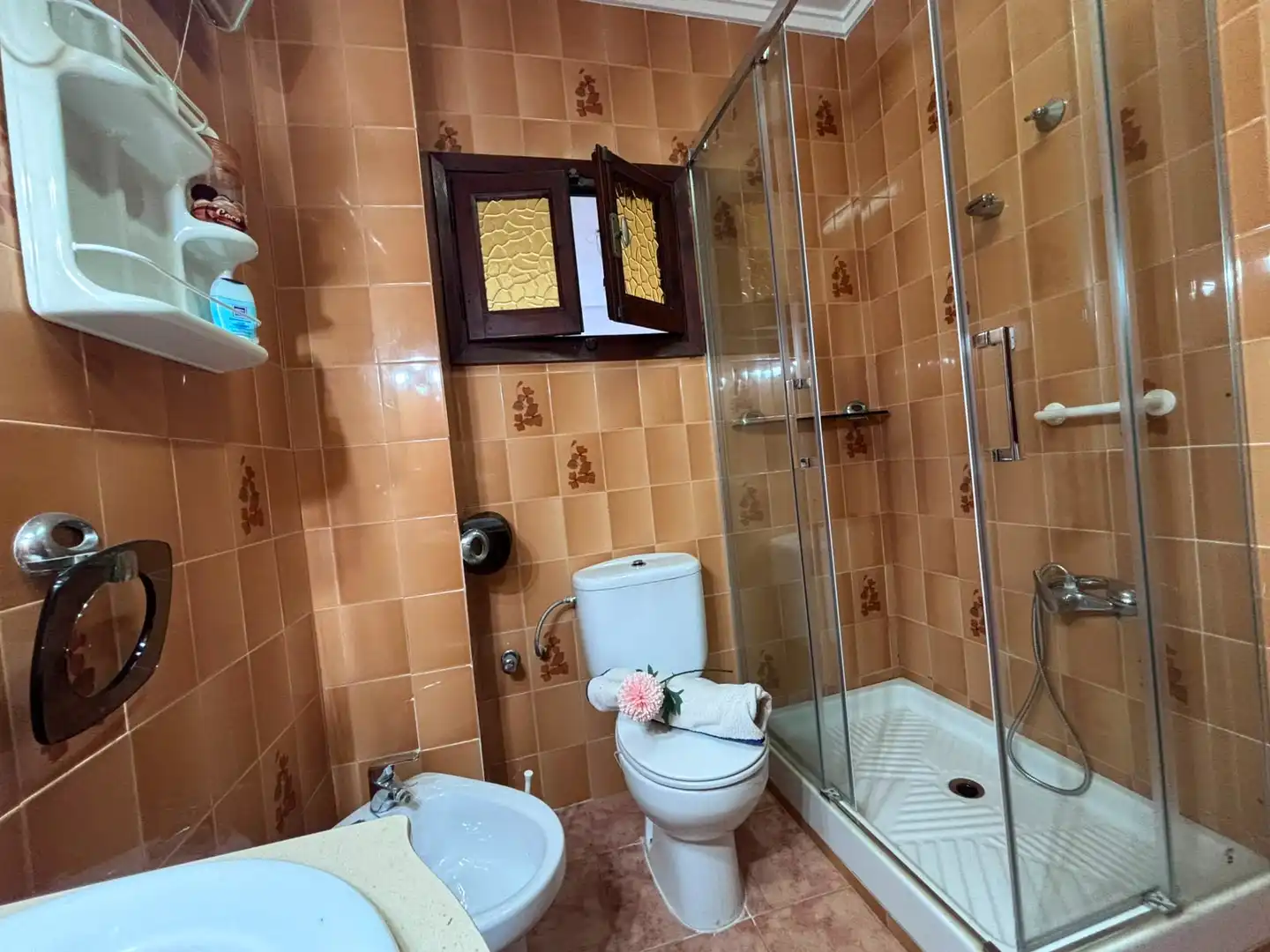 Bany de Casa o xalet en venda en Burjassot amb Terrassa i Balcó