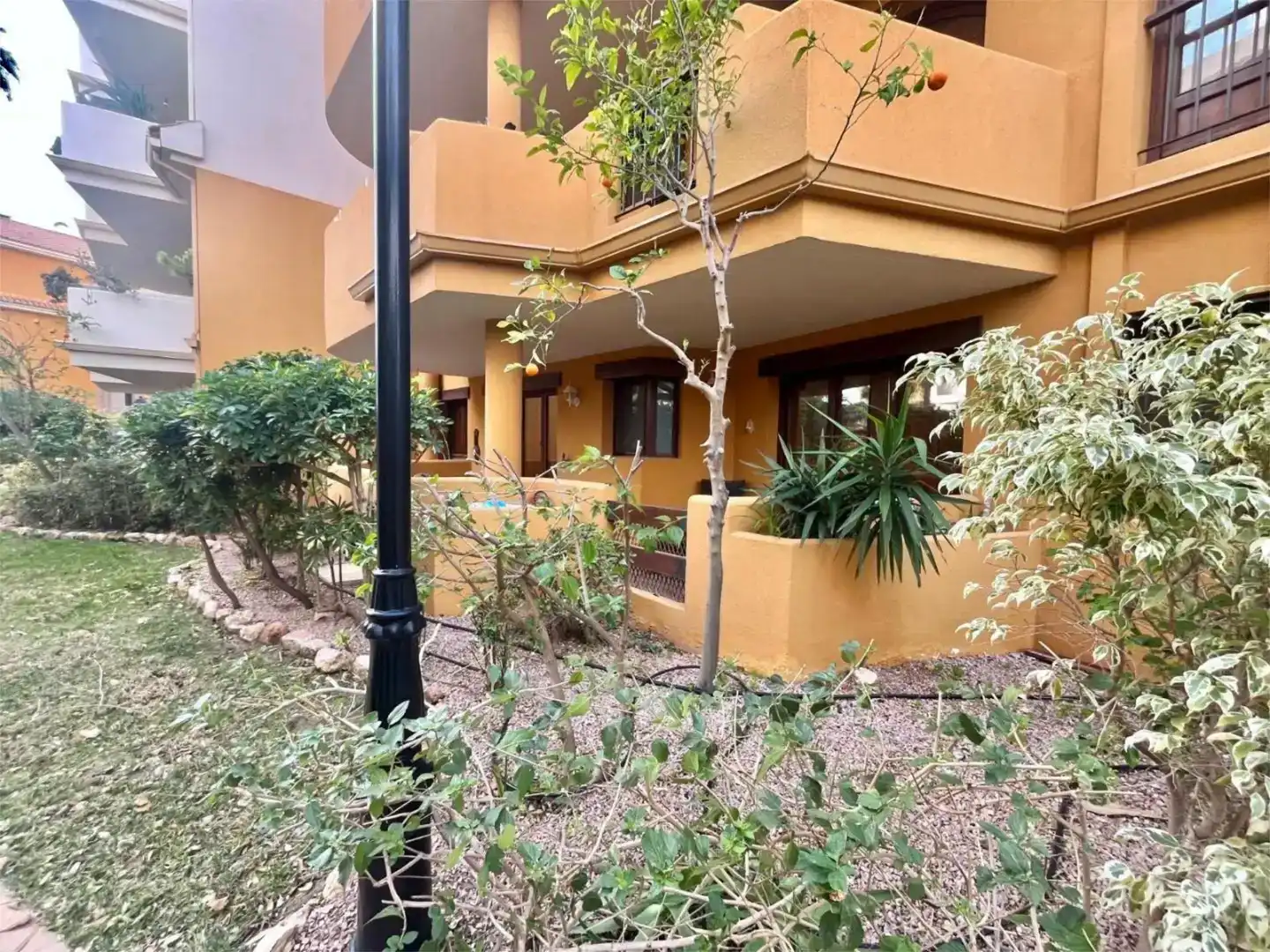 Vista exterior de Casa adosada en venta en Torrevieja con Piscina y Balcón