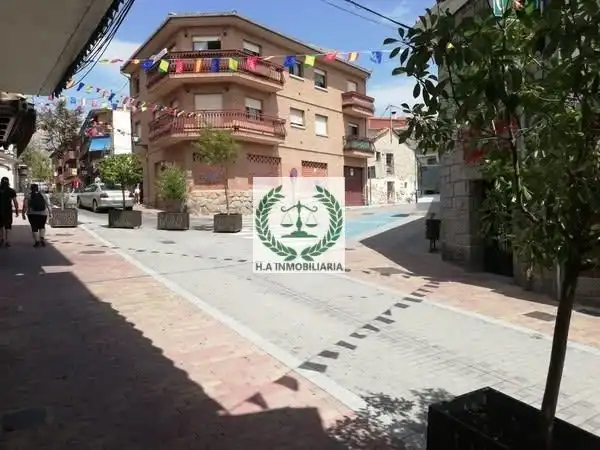 Außenansicht von Geschaftsraum zum Verkauf in Manzanares El Real