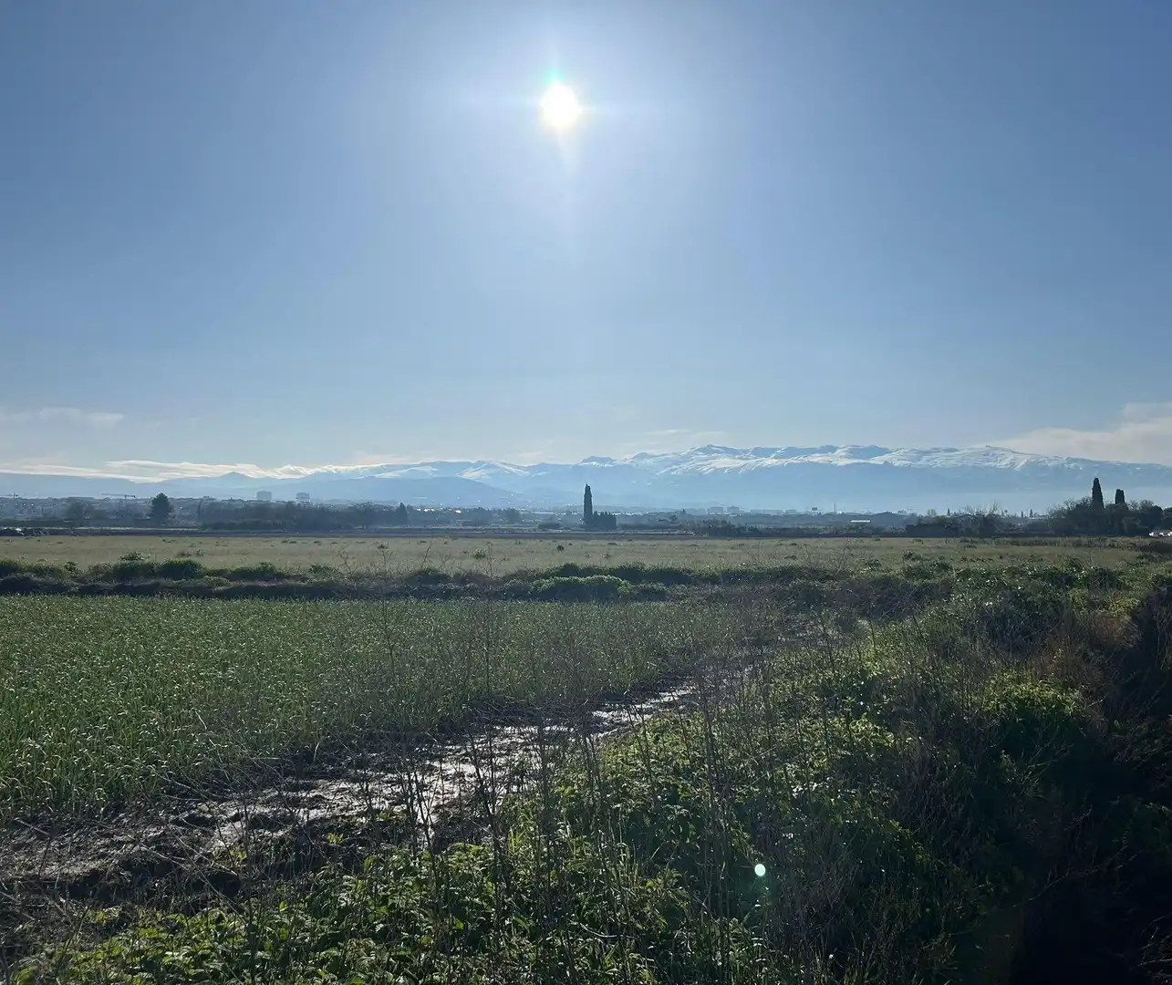 Terreno en venta en Maracena