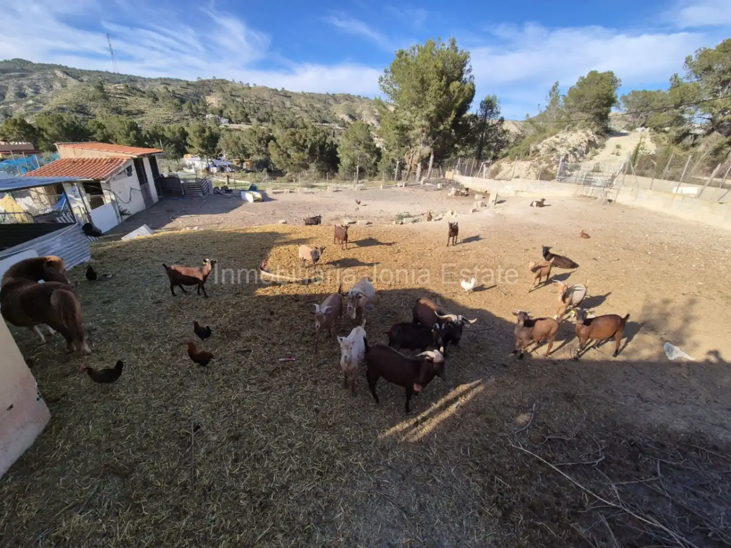 Jardí de Casa o xalet en venda en Càrcer amb Terrassa