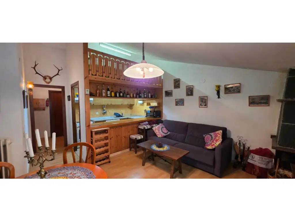Sala d'estar de Apartament en venda en La Massana
