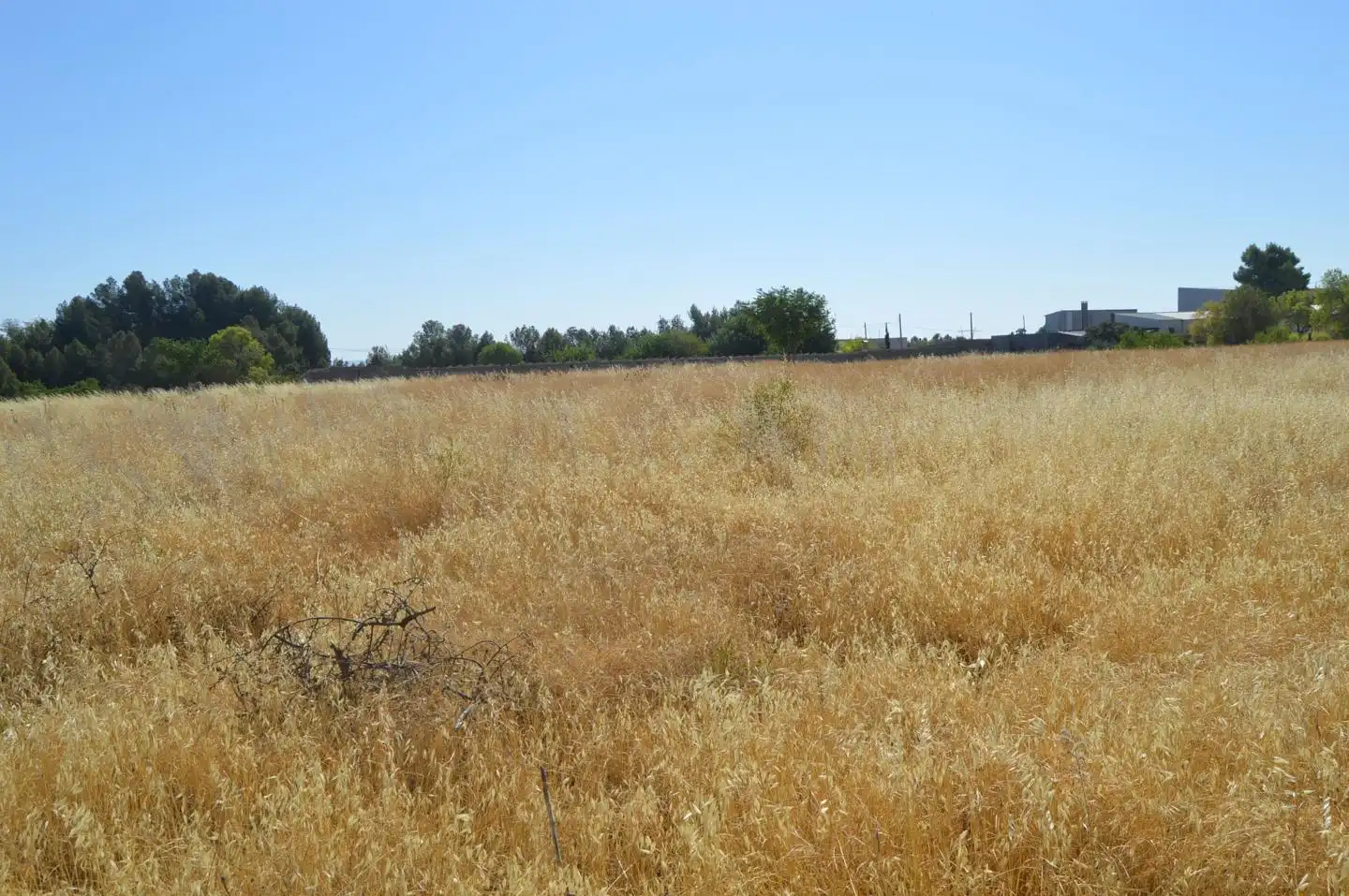 Finca rústica en venda en Tarancón amb Jardí privat
