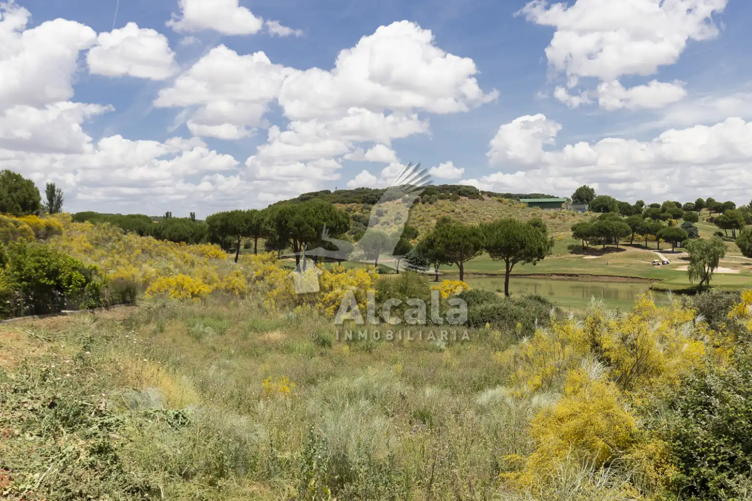 Terreny rústic en venda a Cabanillas del Campo, imagen 31