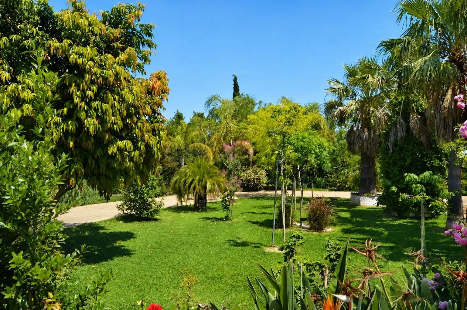 Casa amb jardí en venda a Binissalem, imagen 33