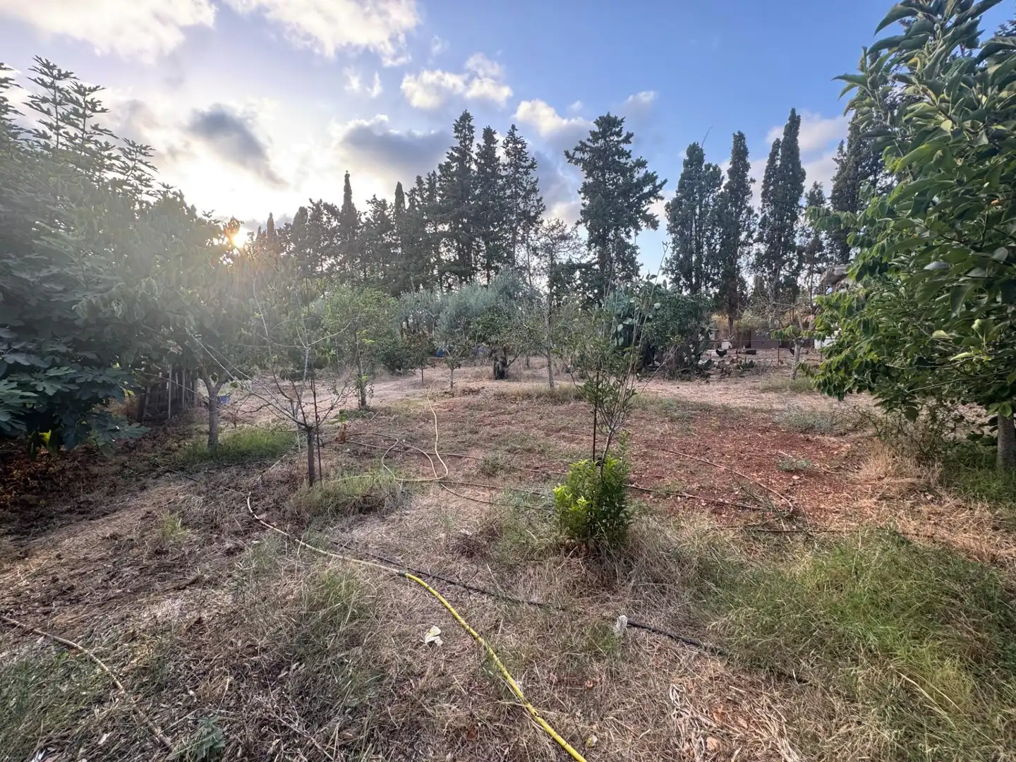Finca rústica en venta en  Palma de Mallorca con Jardín privado, Terraza y Trastero