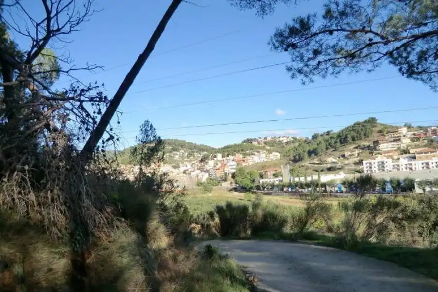 Terreni e lotti in vendita a Riudecols, imagen 14