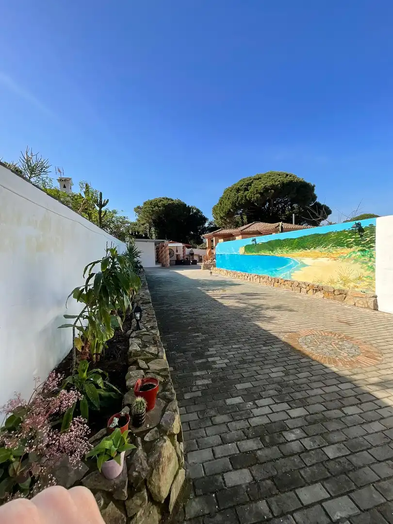 Jardín de Finca rústica de alquiler en Barbate con Aire acondicionado, Terraza y Piscina