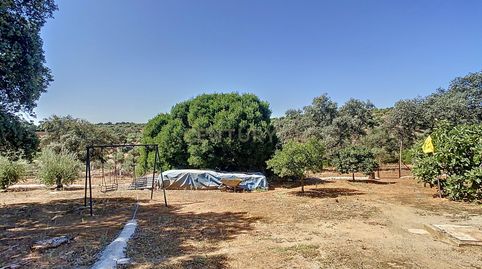 Photo 5 of Houses for sale in Diseminados Poligono 9, 258, Adamuz, Córdoba