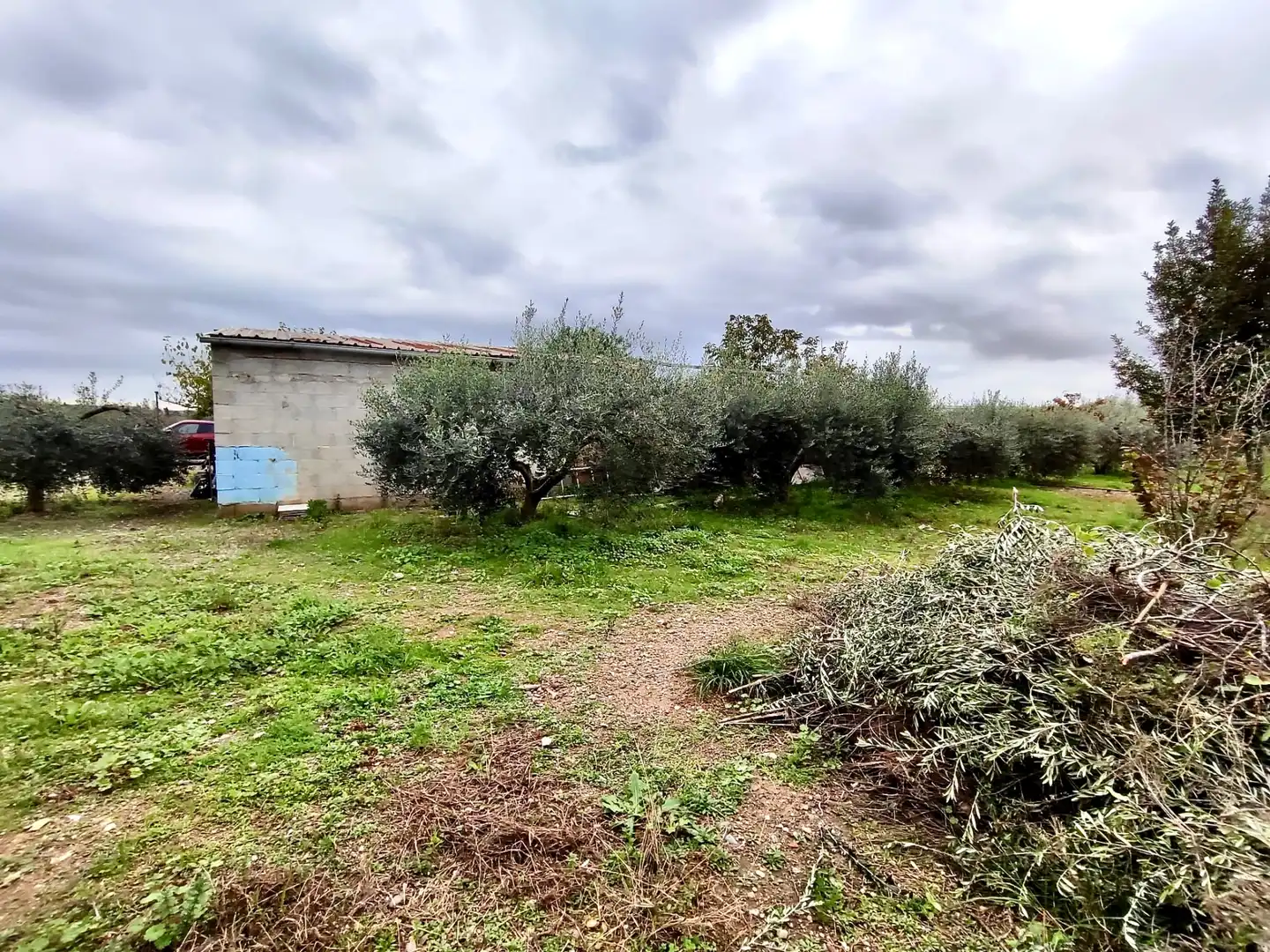 Land for sale in Vilallonga del Camp