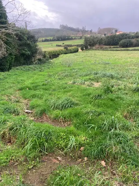 Residential land for sale in Campa San Roque 3, imagen 3