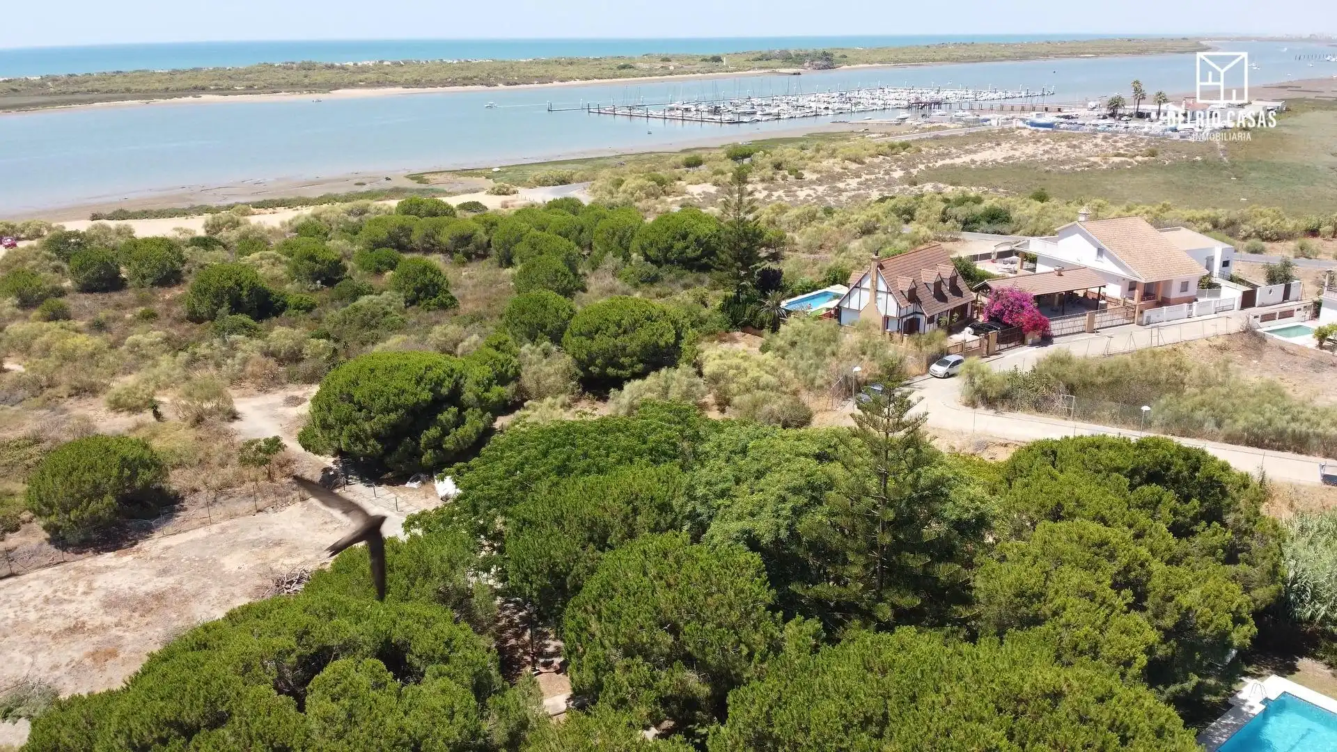 Detached homes for sale in El Rompido