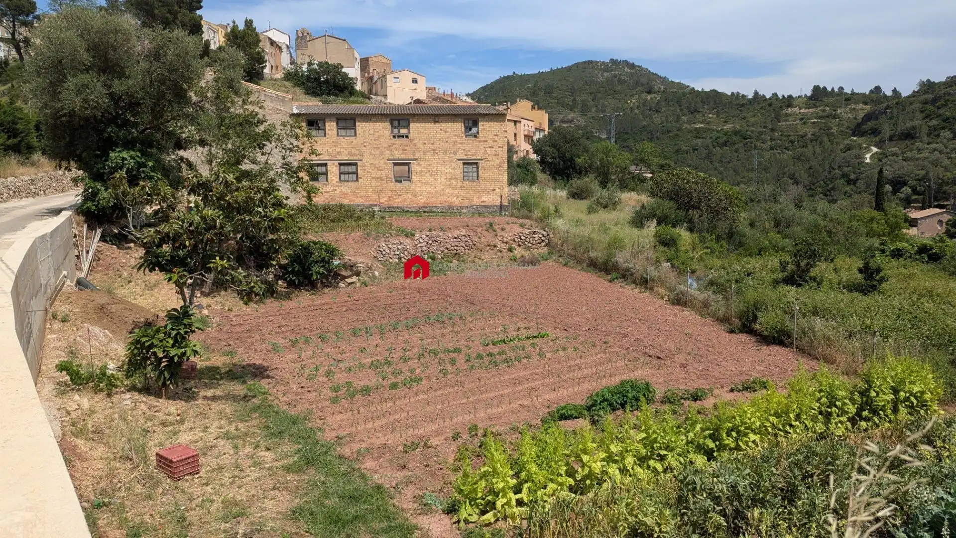 Grundstücke zum Verkauf in Alfara de Carles