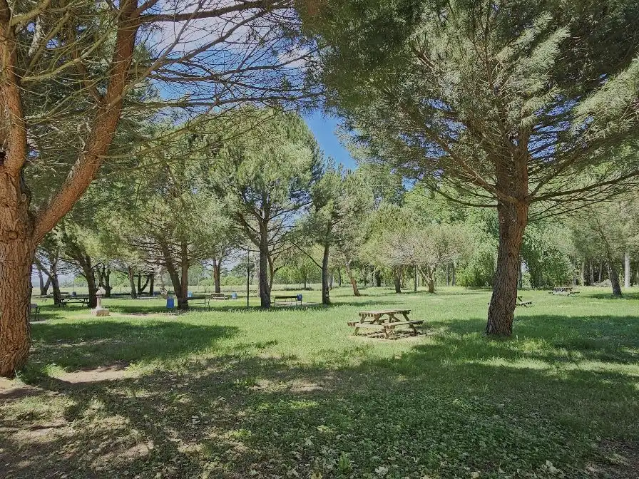Jardín de Casa o chalet en venta en Barbolla, Segovia