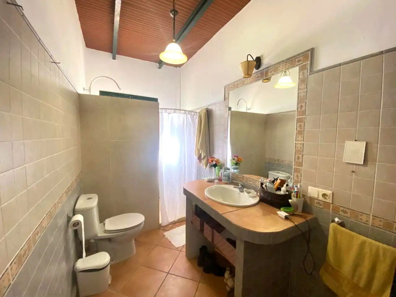 Baño de Finca rústica en venta en El Viso del Alcor