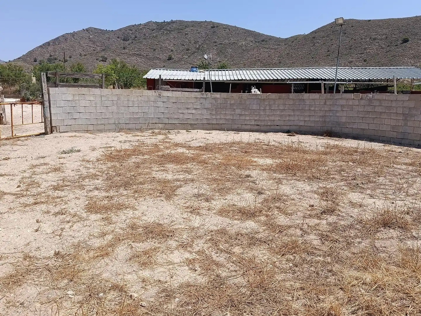 Casa rústica en venta en La Murada - Los Vicentes, imagen 18